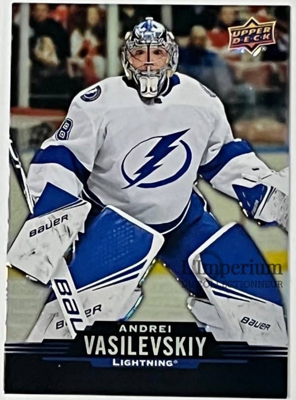 110 Andrei Vasilevskiy - Carte d'Hockey LNH 2020-2021
