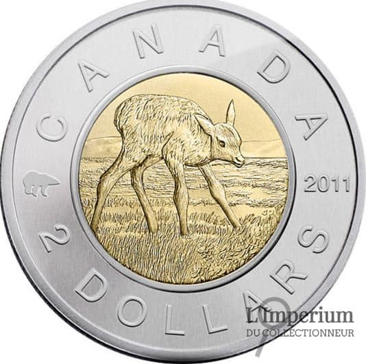 Canada - 2 Dollars 2011 Veau de Wapiti - Spécimen