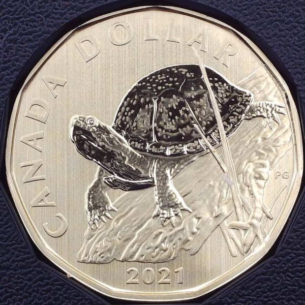 Canada - Dollar 2021 Tortue Mouchetée - Spécimen