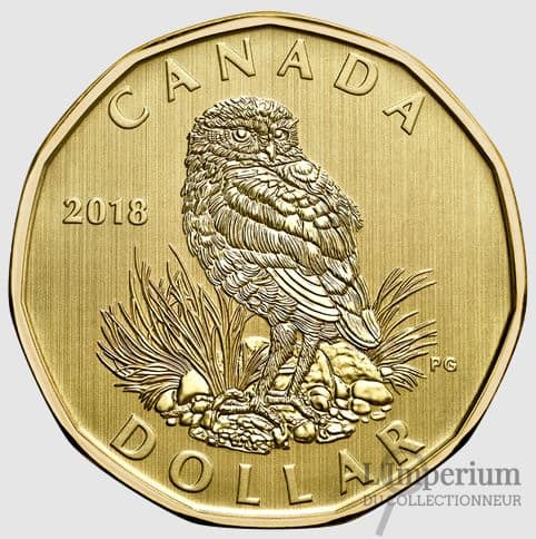 Canada - Dollar 2018 Chouette des Terriers - Spécimen