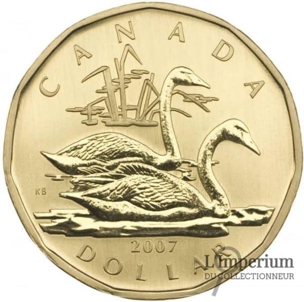Canada - Dollar 2007 Cygne trompette - Spécimen