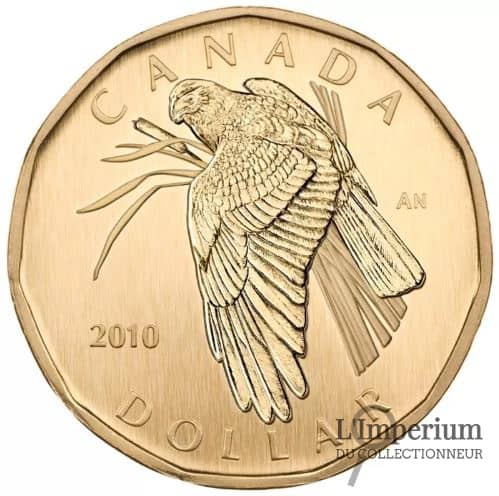 Canada - Dollar 2010 Busard St-Martin - Spécimen