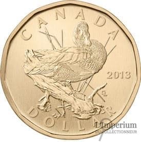 Canada - Dollar 2013 Sarcelle à Ailes Bleues - Spécimen