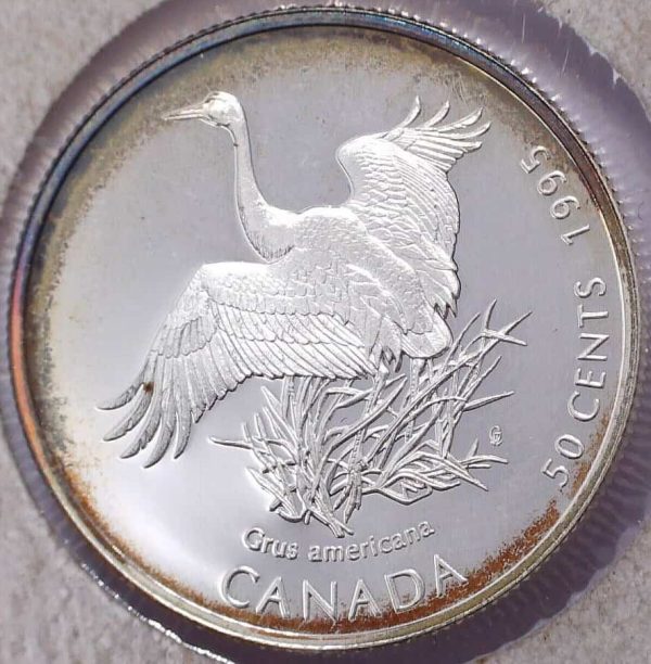 Canada - 50 Cents 1995 Grue Blanche d'Amérique - Épreuve